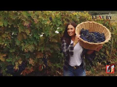 Luxury travel: Wine tour featuring the Contesa vineyards, in Italy's Abruzzo region.