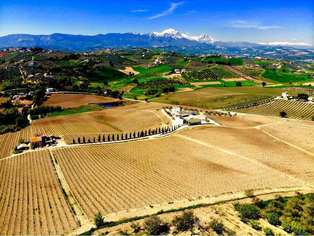Travel Italy Wine Country Contesa
