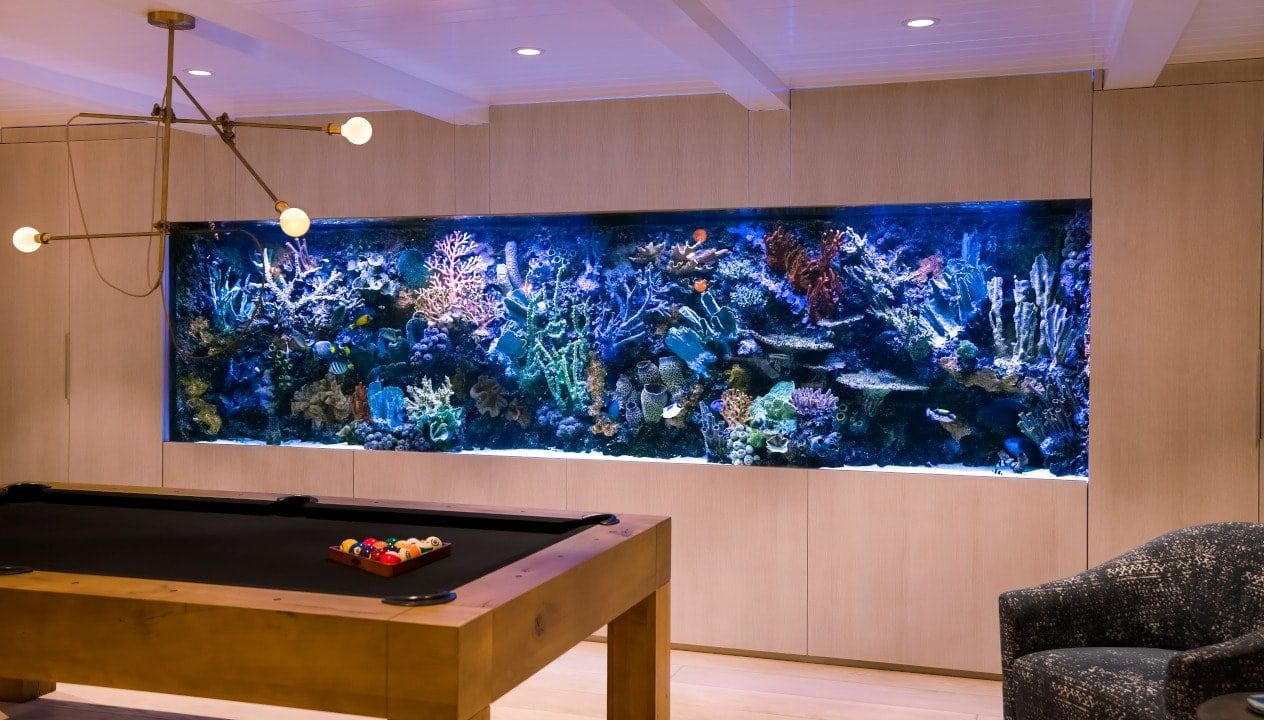 Interior Design Aquarium Lido Isle California Canadas Best Luxury Website 5
