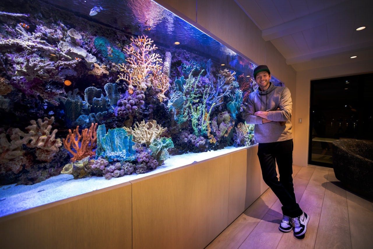 Interior Design Aquarium Lido Isle California Canadas Best Luxury Website