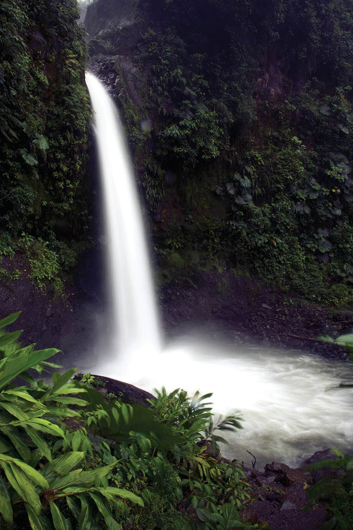 La Paz Waterfall Costa Rica Canadas Best Luxury Website